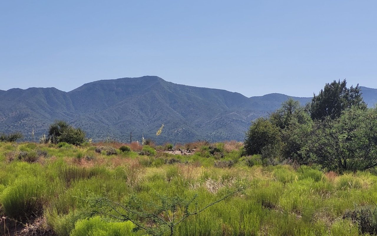 CAMP VERDE
